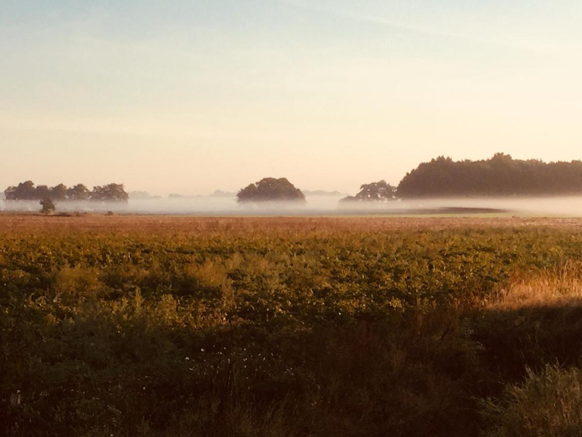 Bed and Breakfast De Distelweide Holsloot Esterno foto