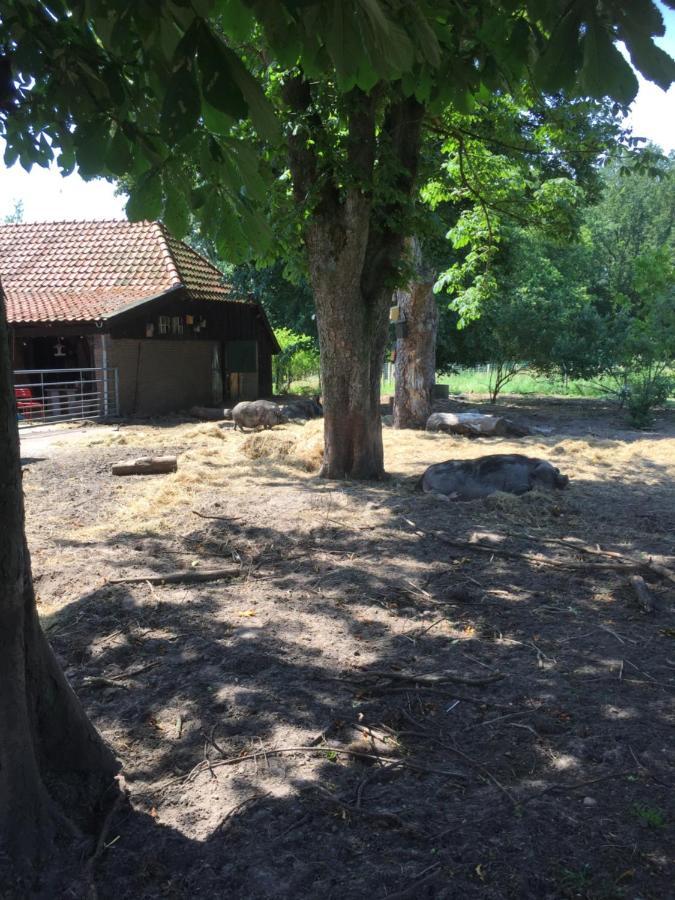 Bed and Breakfast De Distelweide Holsloot Esterno foto