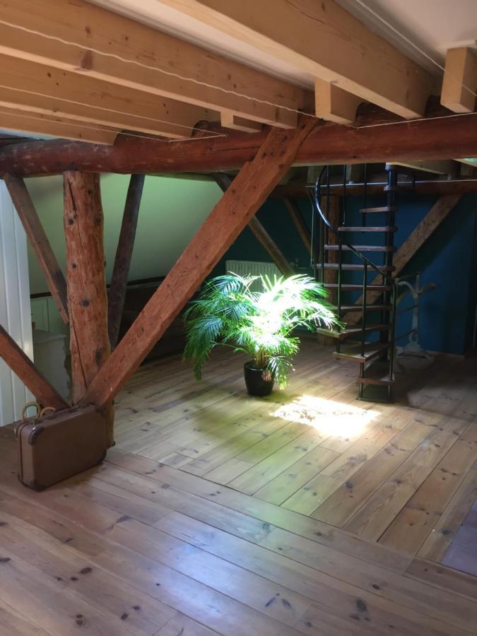 Bed and Breakfast De Distelweide Holsloot Esterno foto
